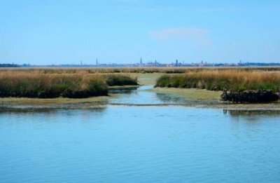 Le barene della Laguna di Venezia – Slow Venice | Visite guidate a